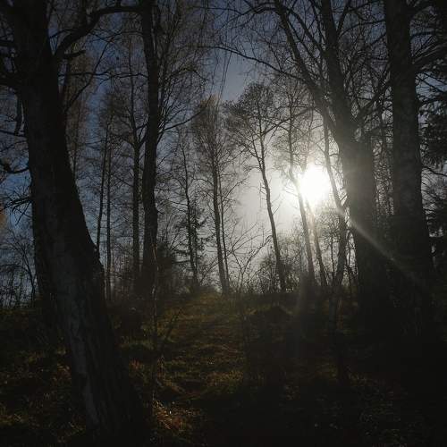 Photo #9768246