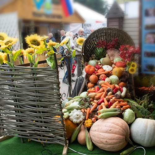 Photo #9768281