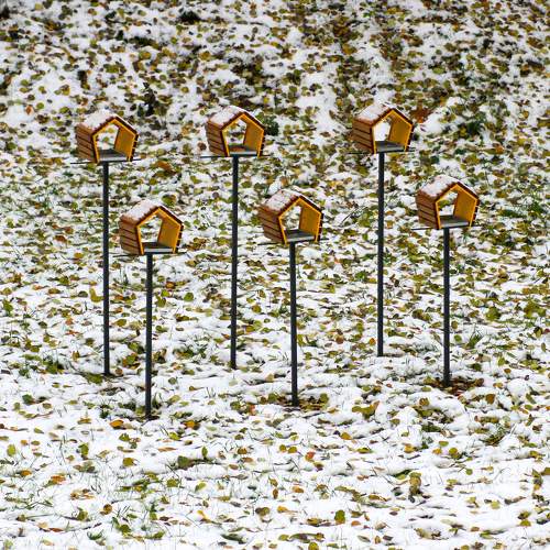 Photo #9768398