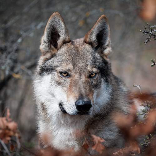 Photo #9768445