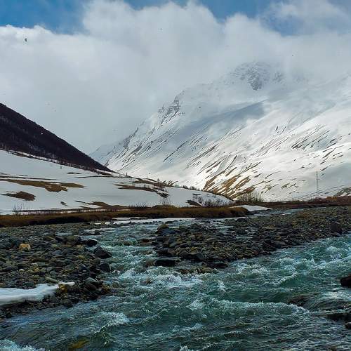 Photo #9768629