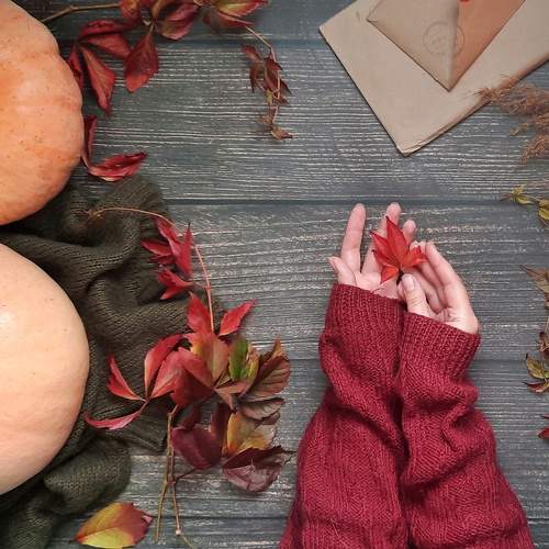 Photo #9768713