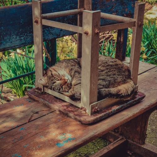 Photo #9768926