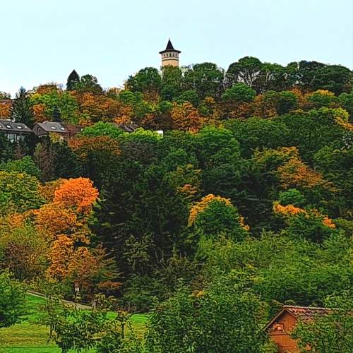 Photo #9769252