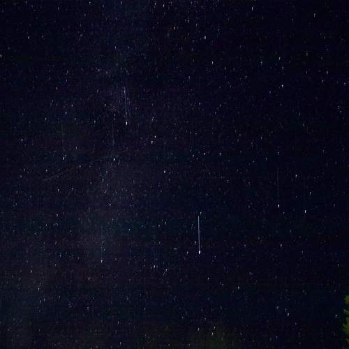 Photo #9769850