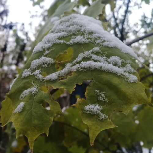 Photo #9769949