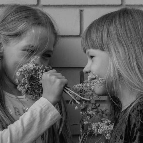 Photo #9770073