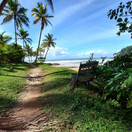 Photo #9770087