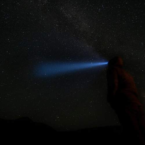 Photo #9770178
