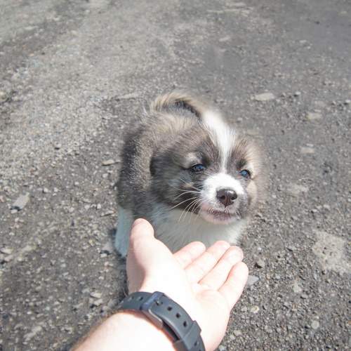Photo #9770185