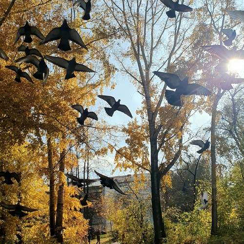 Photo #9770326