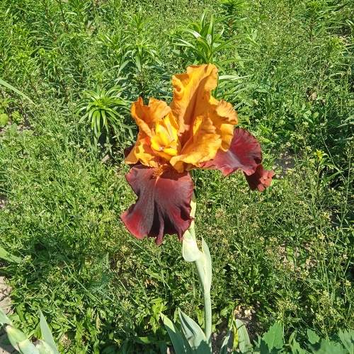 Photo #9770359