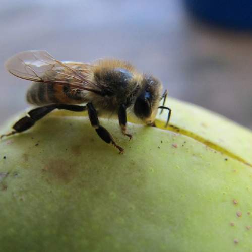 Photo #9770502