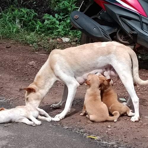 Photo #9770536
