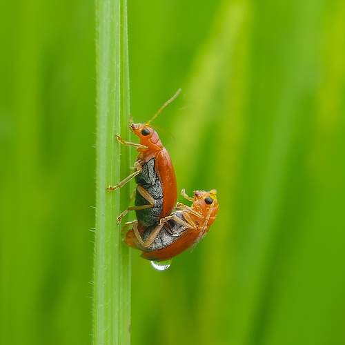 Photo #9770727