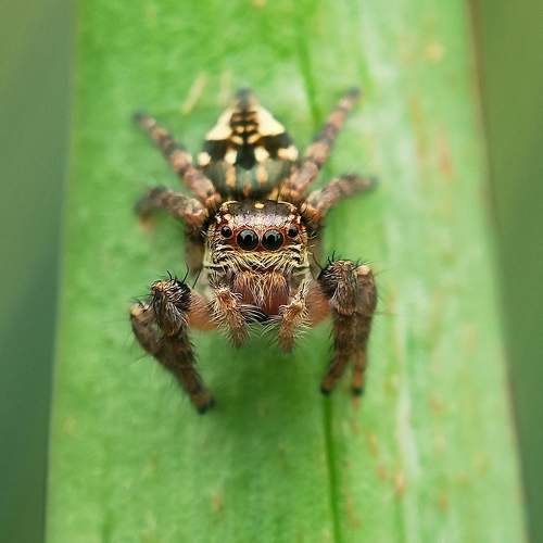 Photo #9770729