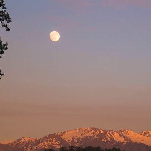 Photo #9770756