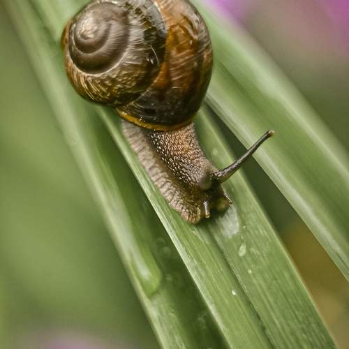 Photo #9770911