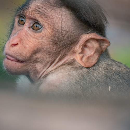 Фотография #9771109