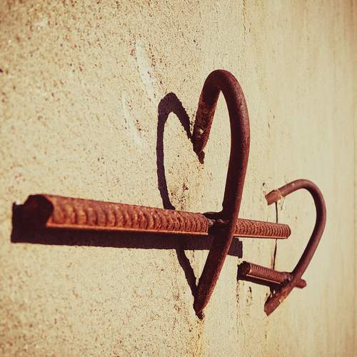 Photo #9771317