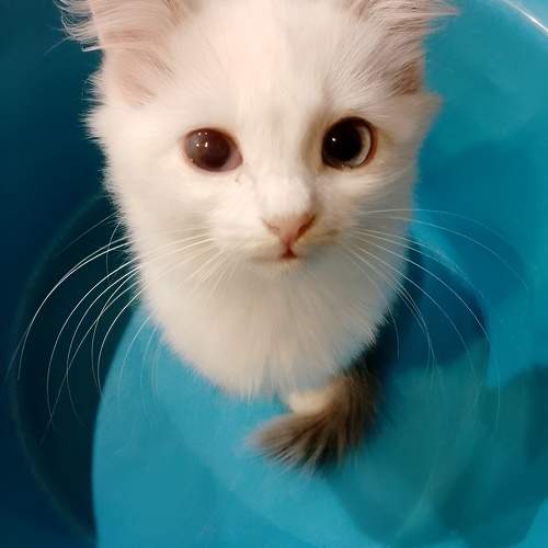 Photo #9771374
