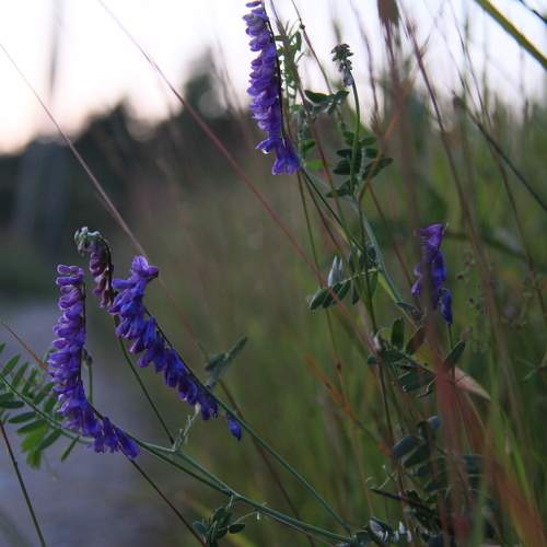 Photo #9771377