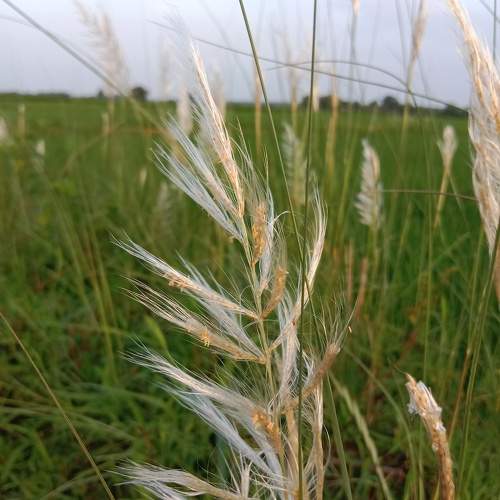 Photo #9771434