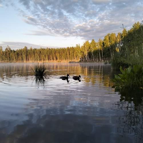 Photo #9771450