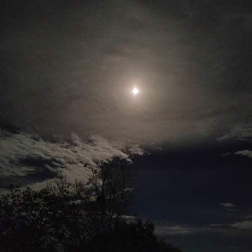 Photo #9771621