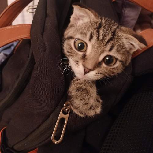 Photo #9771739