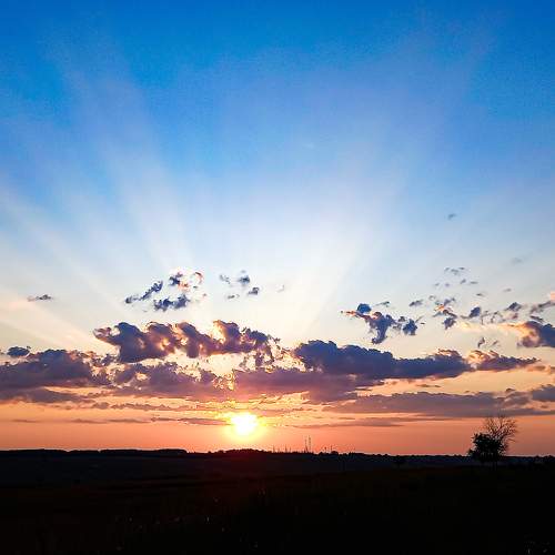 Photo #9771921