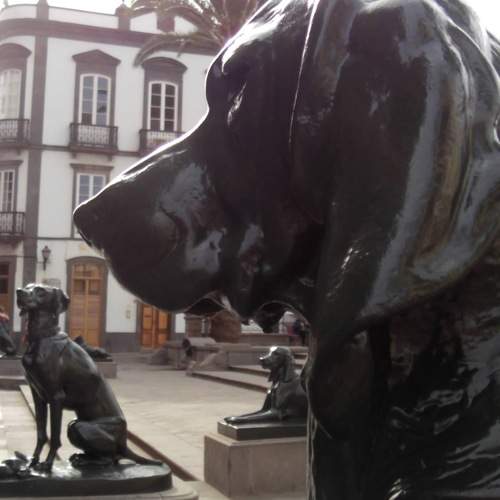 Photo #9772335