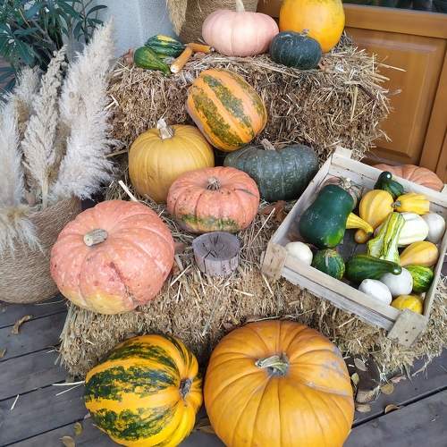 Photo #9772535