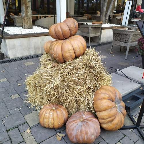 Photo #9772547