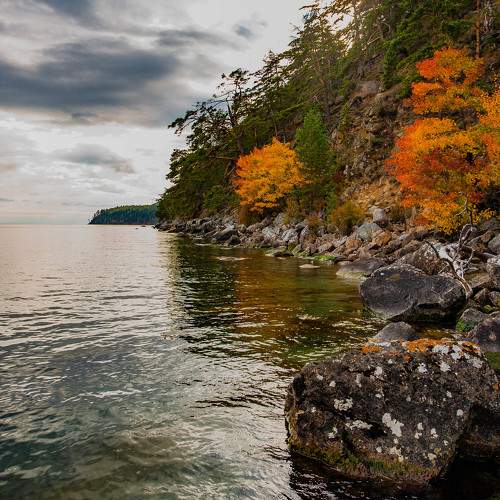 Photo #9772772