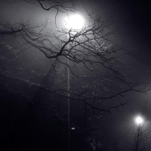 Photo #9773067