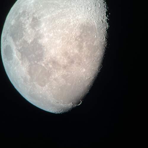 Photo #9773164