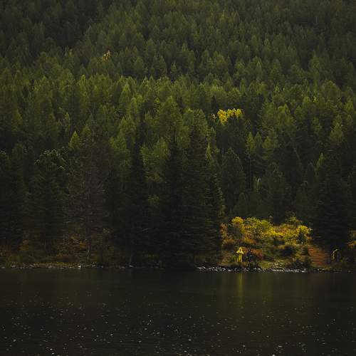 Photo #9773378