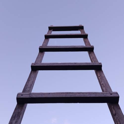 Photo #9773586