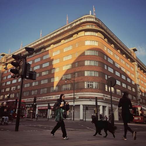 Photo #9774154