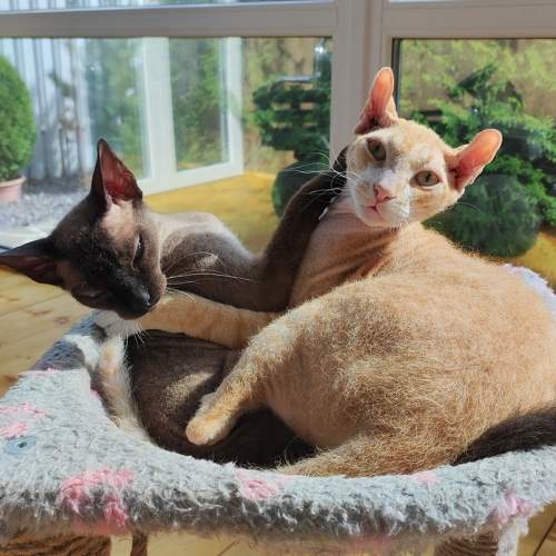 Photo #9774215