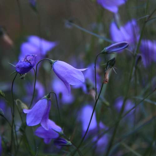 Photo #9774471