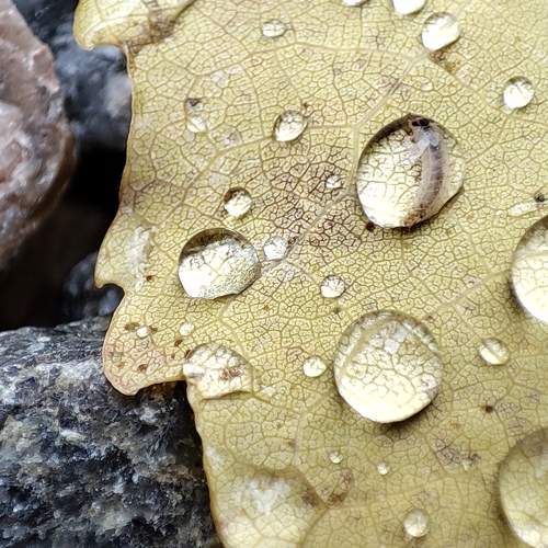Photo #9774498