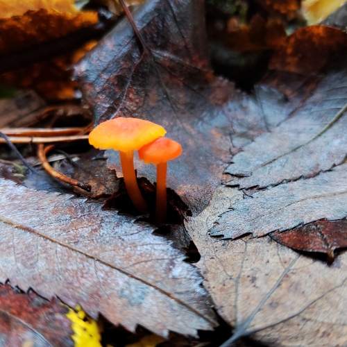 Photo #9774500