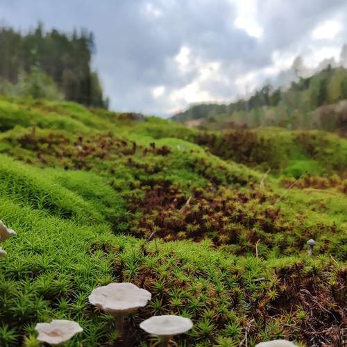Photo #9774599