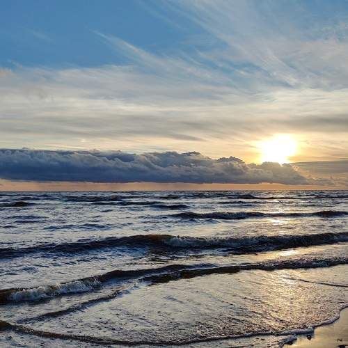 Photo #9774645