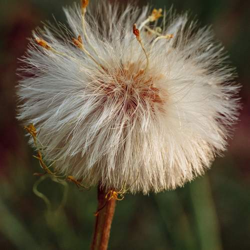 Photo #9774861