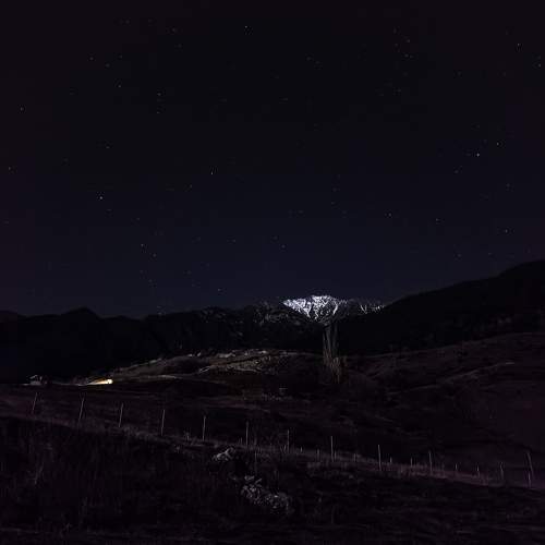 Photo #9774941