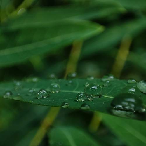 Photo #9775060