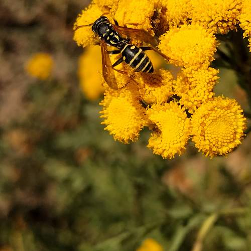Photo #9775232